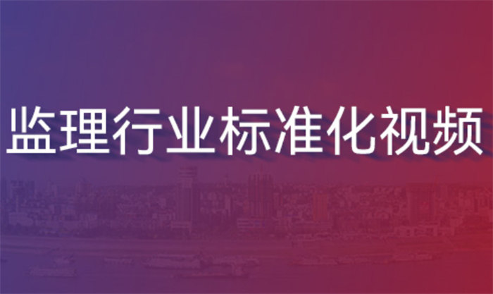 監(jiān)理行業(yè)標準化視頻