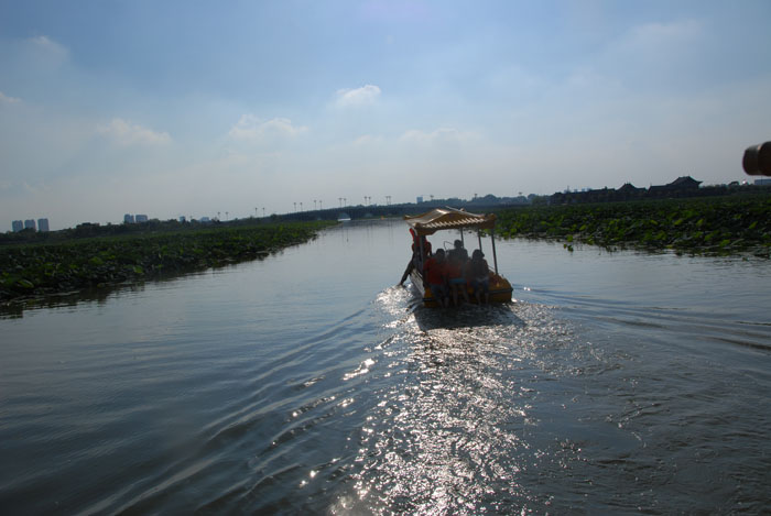 Ϧ�������ӭ�������ϰ�